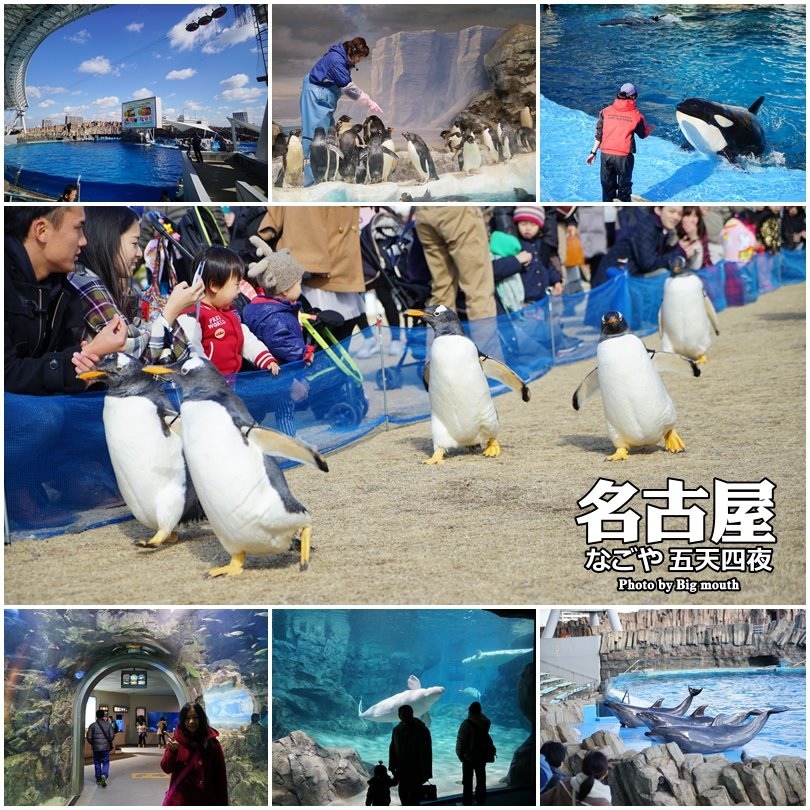 1455438466-2052093941.jpg名古屋水族館.jpg