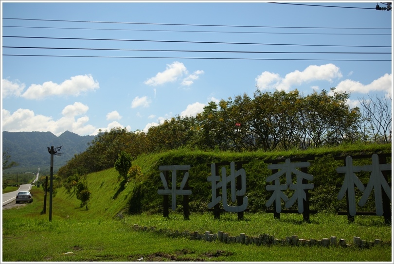 大農大富平地森林園區 (1).JPG