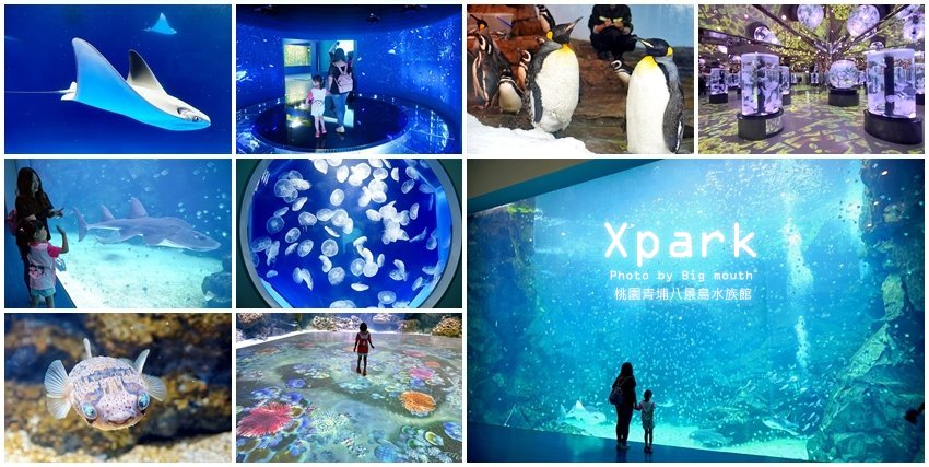 Xpark八景島水族館