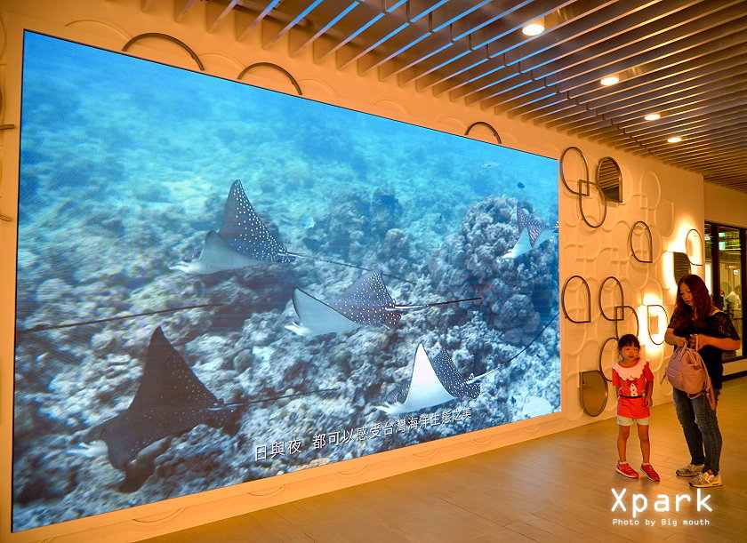 Xpark水族館