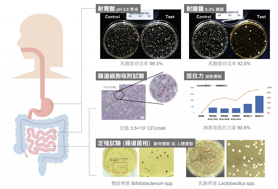 益生菌檢驗