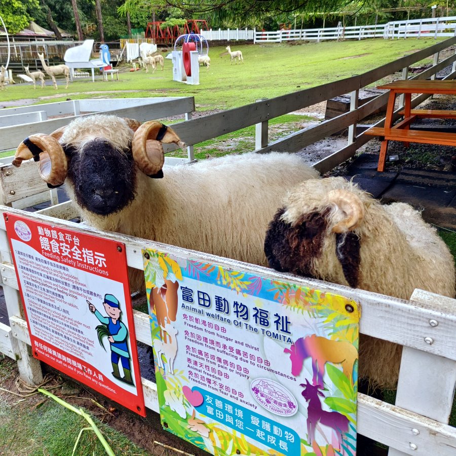 富田花園農場