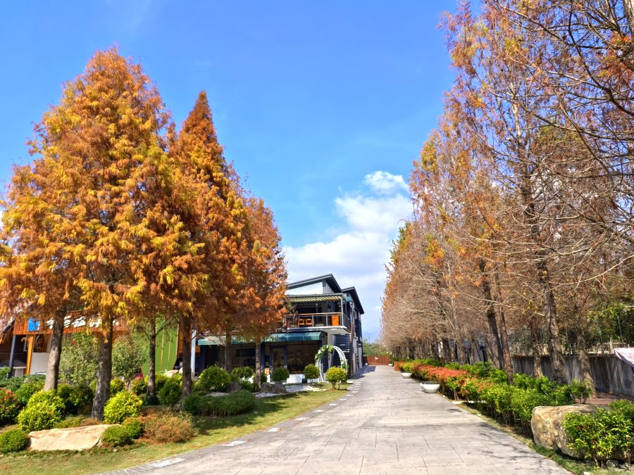 水與松森林莊園