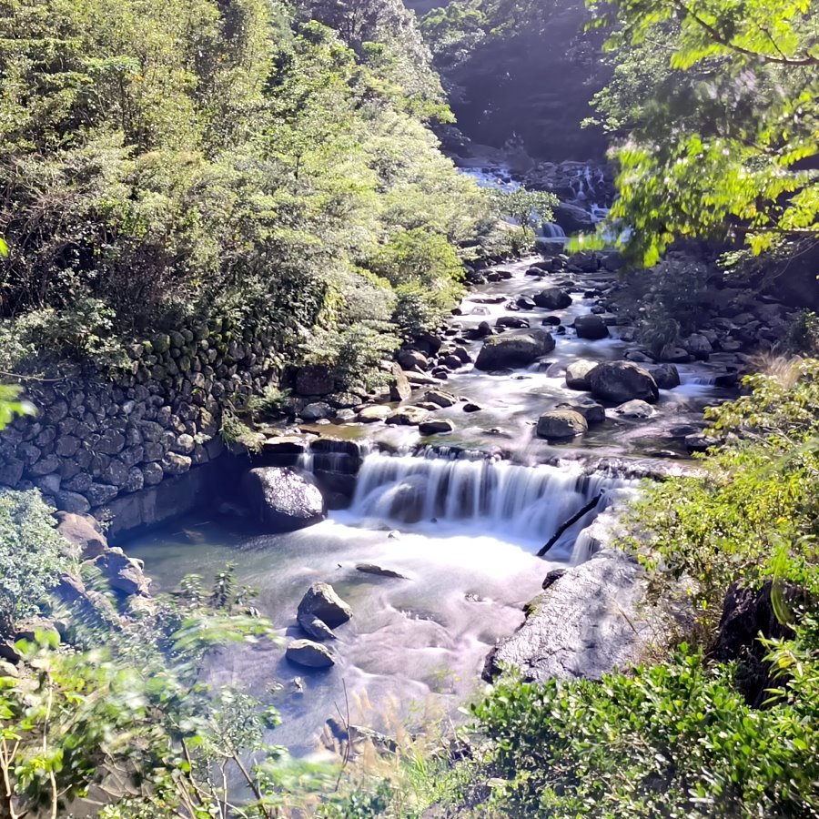 滿月圓國家森林遊樂區